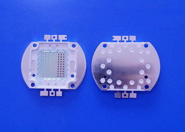 100 वाट RGB हाई पावर COB LED R / G / B चिप 120 डिग्री व्यूइंग एंगल फॉर प्लांट ग्रोथ