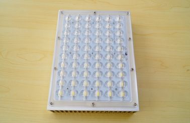 आउटडोर 60W एलईडी लाइट फिटिंग 1W एलईडी 140lm - 150lm, निविड़ अंधकार